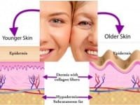 Qual a importância do colágeno na harmonização facial?